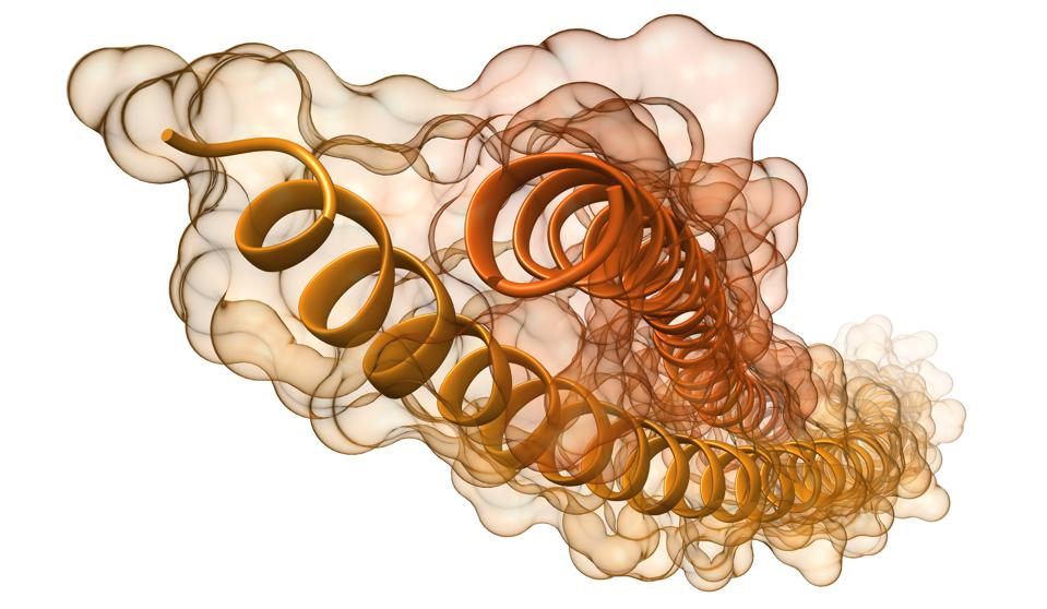 molecular model of keramin showing alpha helices