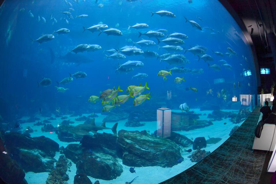 Gunna Drip or Drown 2