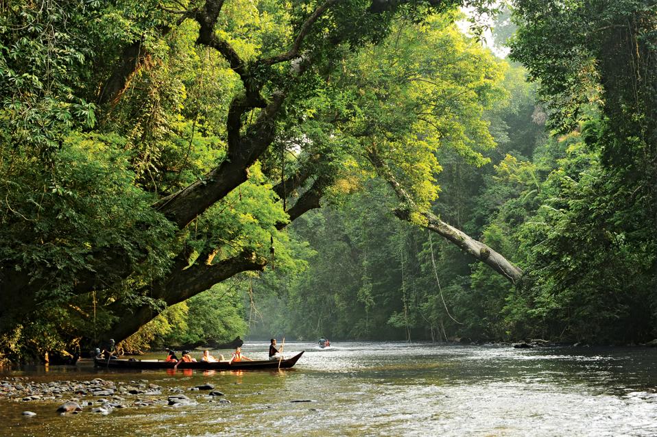 5 Phenomenal National Parks To Visit In Malaysia