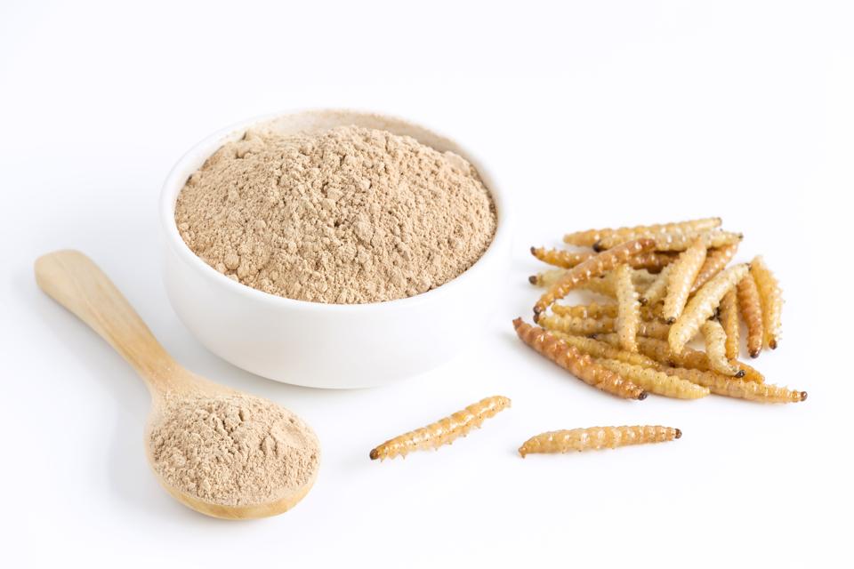 Innovation In Food Technology Could Help Bring Insect Flours To Your Pantry