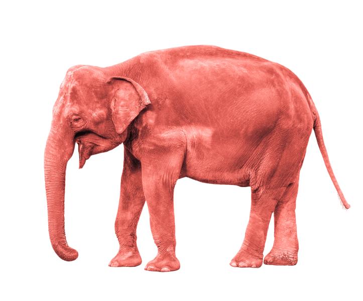 The Pink Elephant In The Workplace: How To Have Conversations About Race, Politics, And Religion At Work