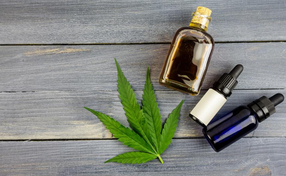 Cannabis-based companies lack diversity — but that's not how experts think things will remain.