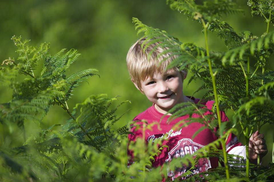 Playing in the bracken in Norfolk: a harbouring ground for ticks? 