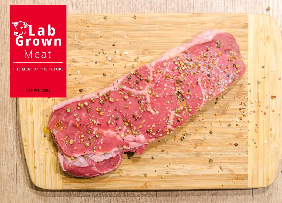 Conceptual Photo of Artificial Lab grown meat, Cultured meat,