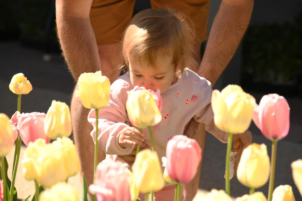 Denver Botanic Gardens