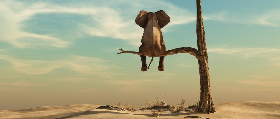 Elephant stands on thin branch of withered tree in surreal landscape. This is a 3d render illustration