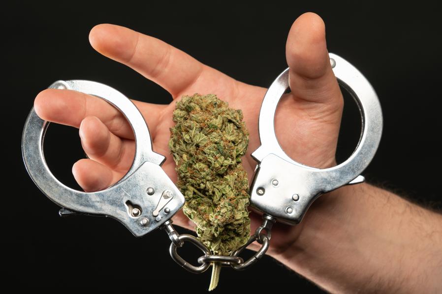 Marijuana Arrests Increased Again Last Year Despite More States Legalizing, FBI Data Shows