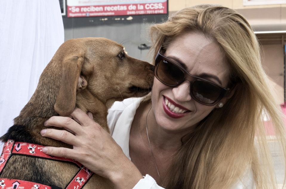 COSTA RICA-ANIMAL-ABUSE-JUSTICE