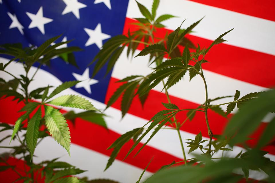 Is the United States on the verge of federal marijuana legalization?
