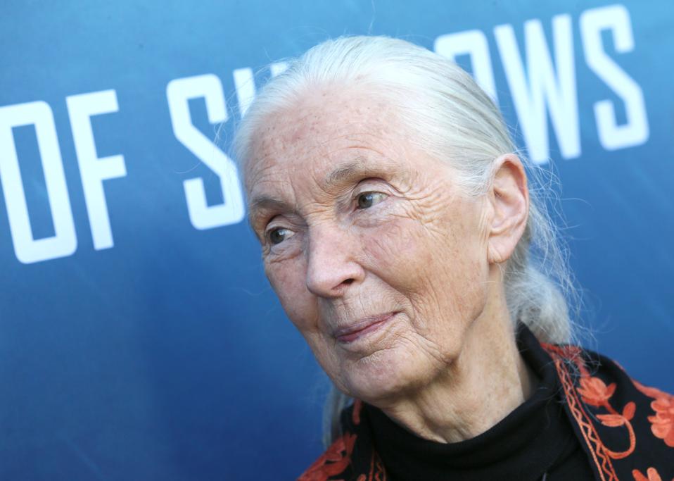 National Geographic Documentary Films' Premiere Of ″Sea Of Shadows″ - Arrivals