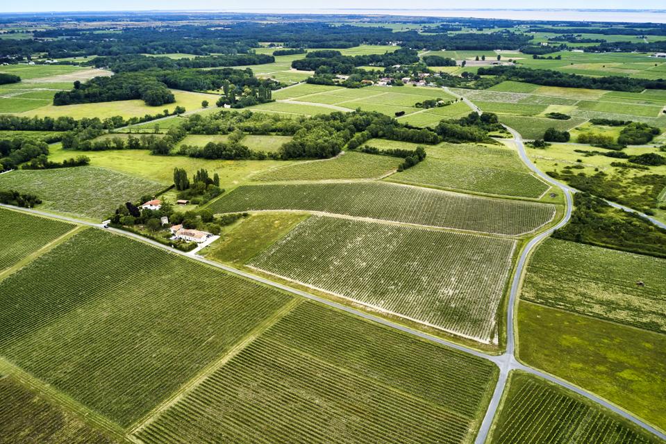 Médoc wine region, France