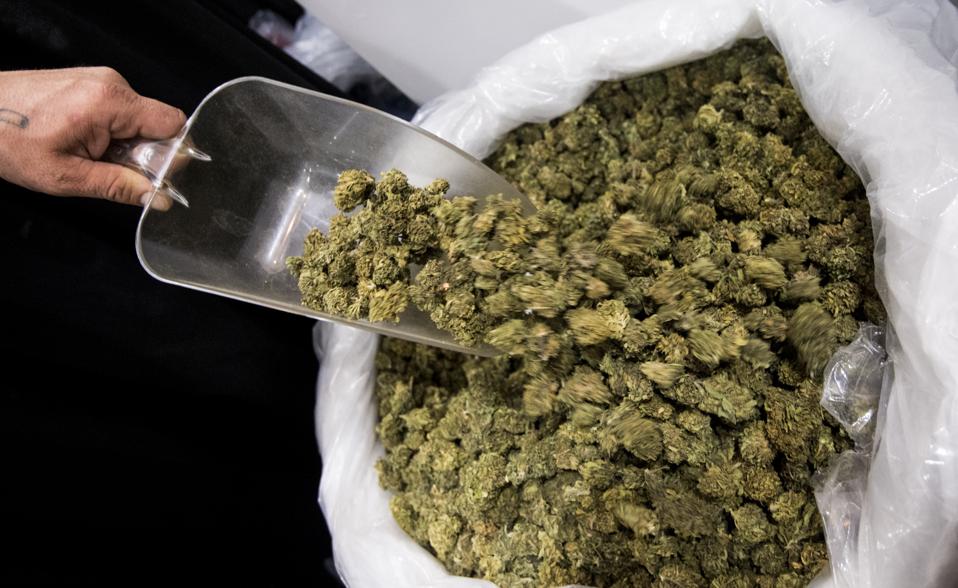 Southern Hemp Expo