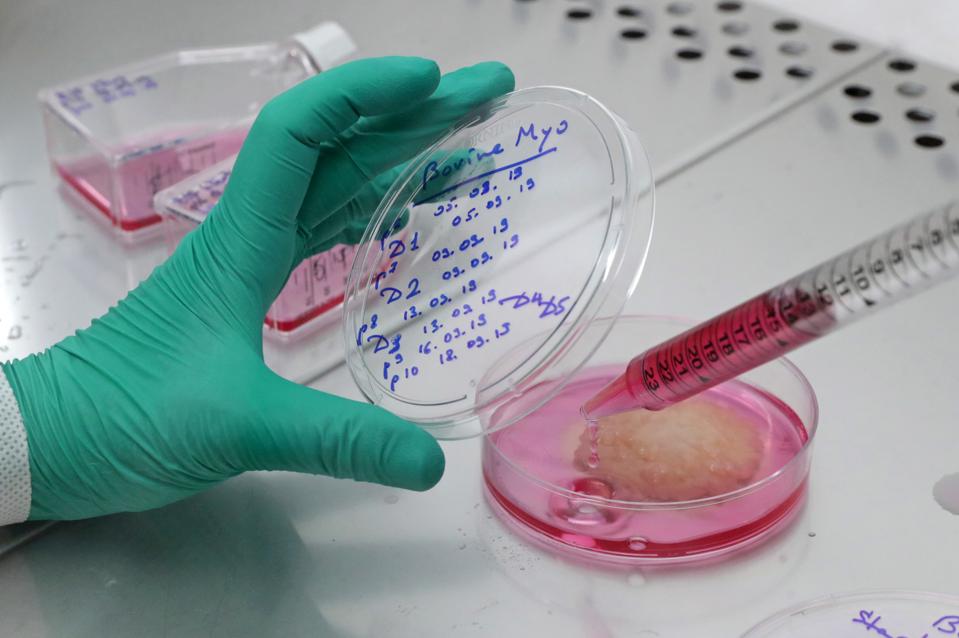 Ochakov Food Ingredients Plant produces cultured meat