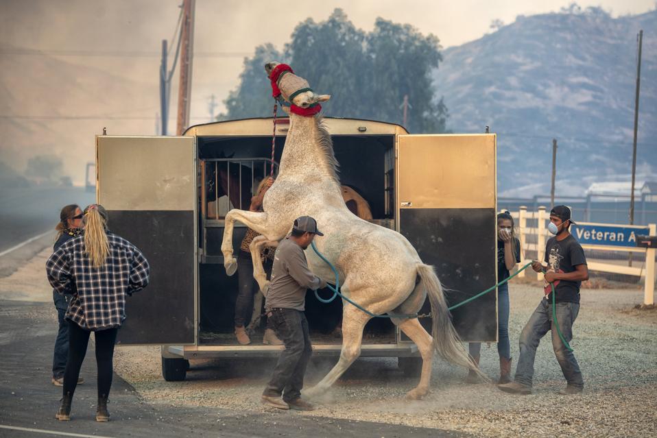 The Tick Fire Burns In Canyon Country, California