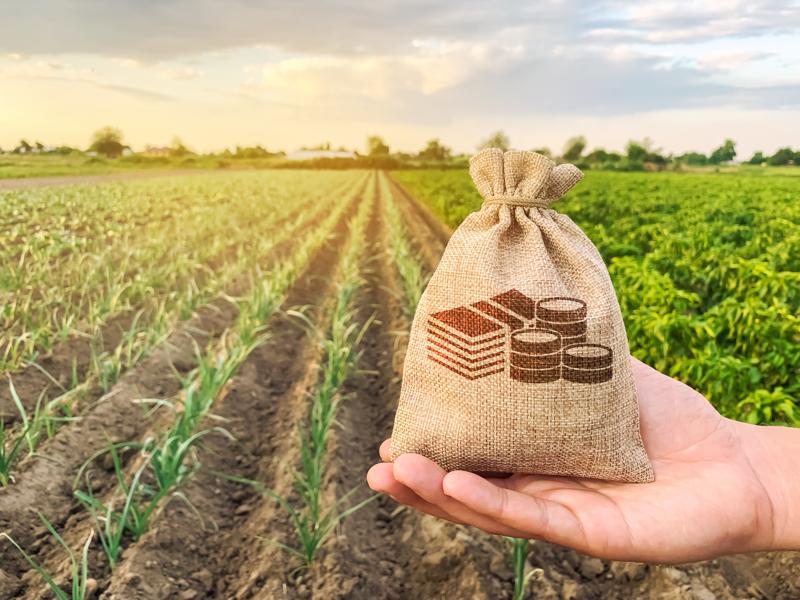 Coronavirus Sell-Off Presents Tax-Loss Harvesting Opportunity