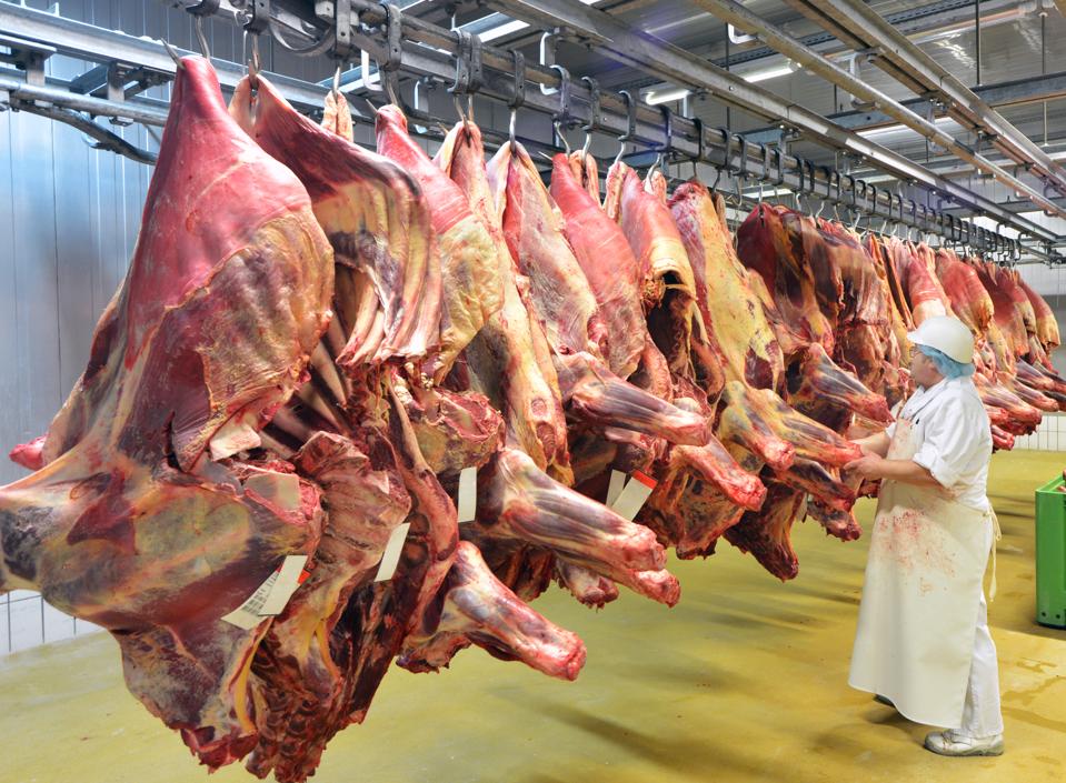Pork carcasses cool at a slaughterhouse that makes sausages.