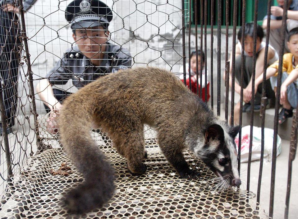 CHINA-HEALTH-SARS-CIVET-COVID-19-coronavirus