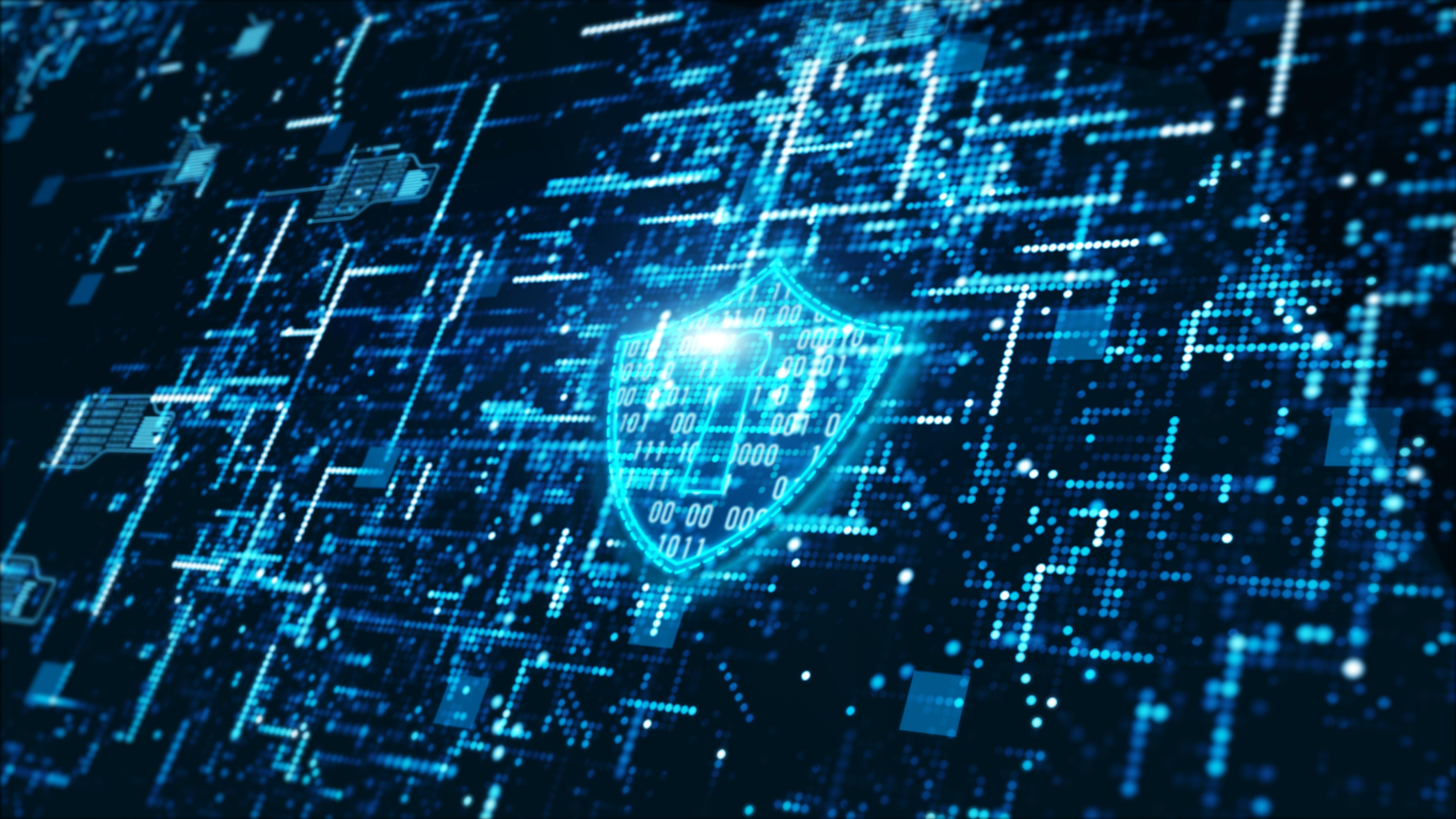 The Achilles' Heel Of Business Technology: Zero-Day Vulnerabilities - Vimarsana News