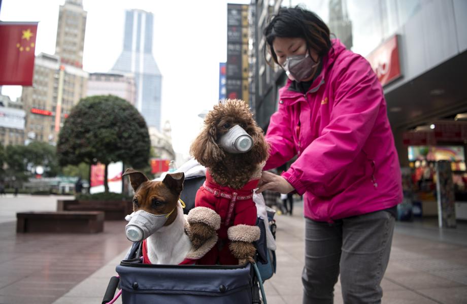 Coronavirus Might Do More Damage To China Than The Trade War