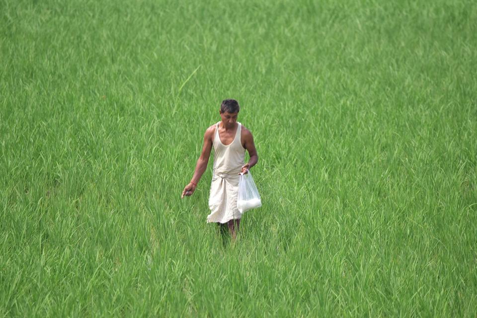 INDIA DAILY LIFE