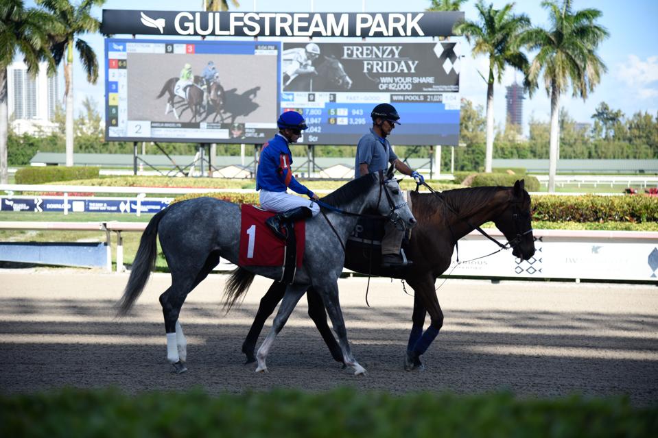 Gulfstream Park Horse Racing Analyst