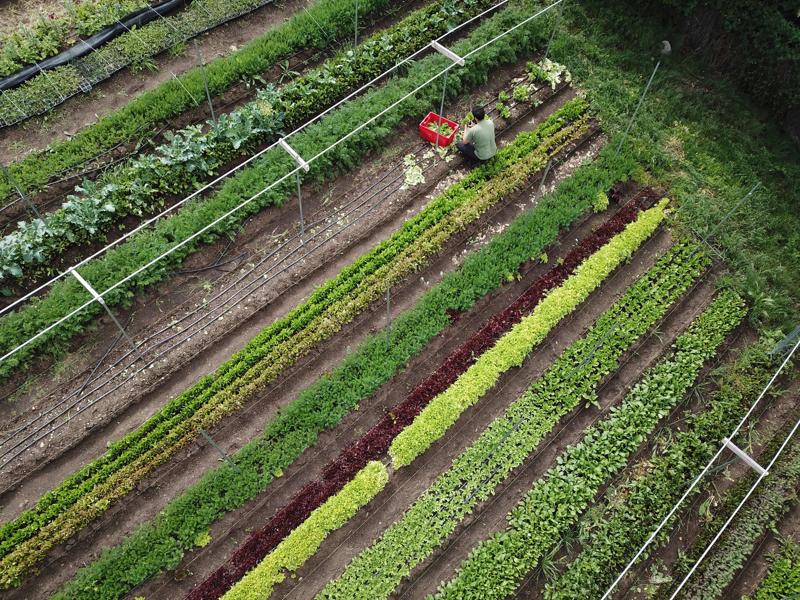 What The $2 Trillion Stimulus Package Means For The Food System