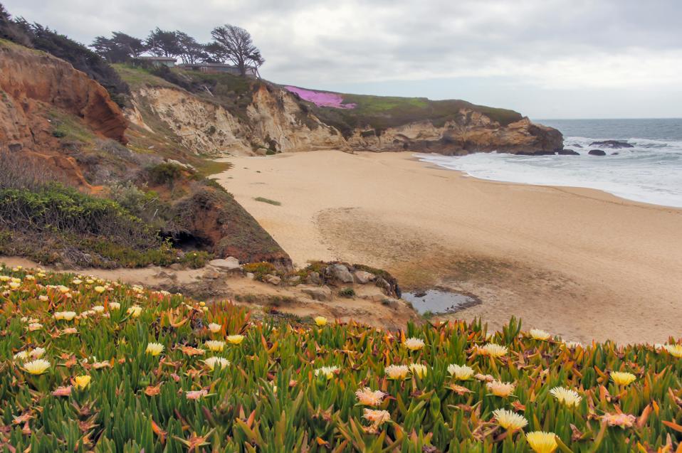 Five Ideal Destinations For A Springtime California Vacation