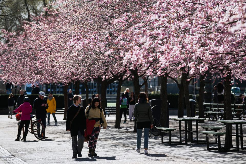 No Lockdowns In Sweden As Stockholm Remains Open—Parks And Open-Air ...