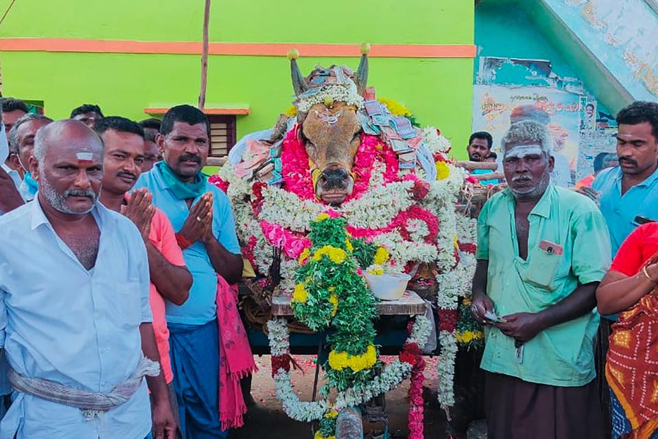 INDIA-HEALTH-VIRUS-CULTURE-ANIMAL