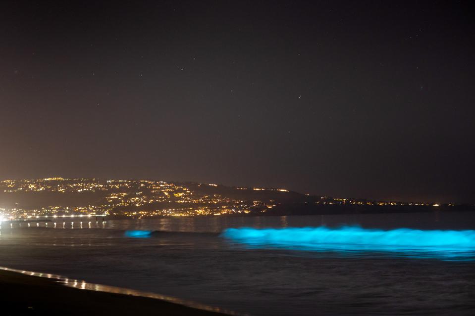 Why Are There Glowing Waves At Southern California Beaches Right Now?