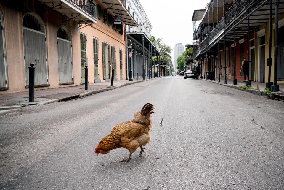 US-HEALTH-VIRUS-FESTIVAL