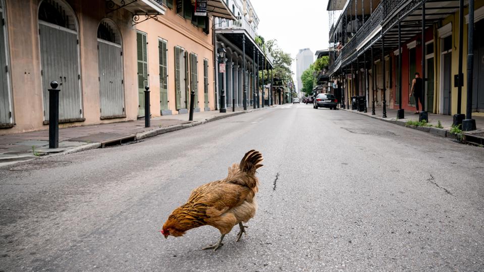 US-HEALTH-VIRUS-FESTIVAL