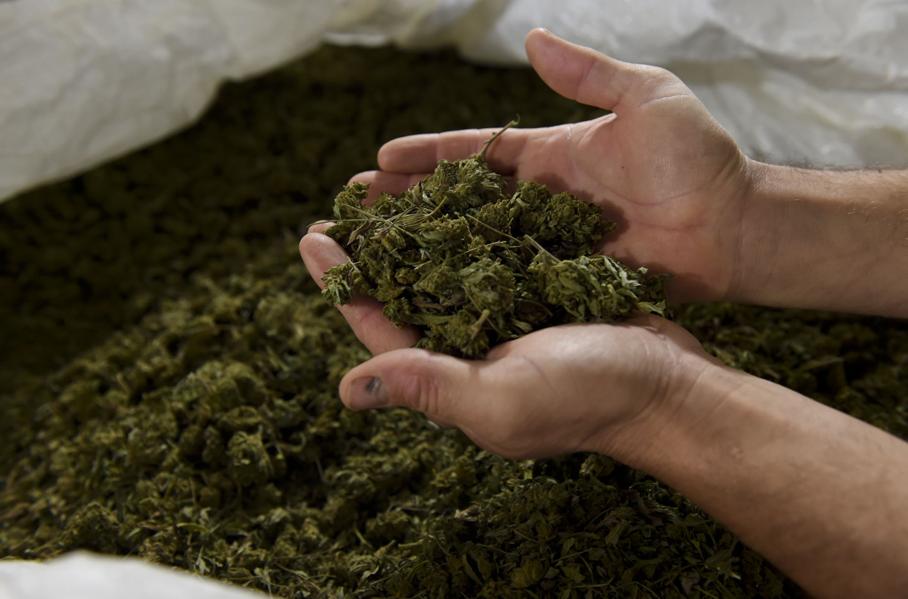 'Precipitous' Decline In Hemp And Cannabis M&A Continuing Amid COVID-19 Pandemic
