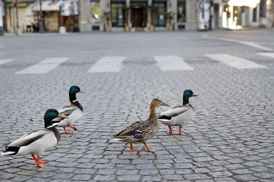 France's Coronavirus Death Rate Slows But Country Remains On Lockdown