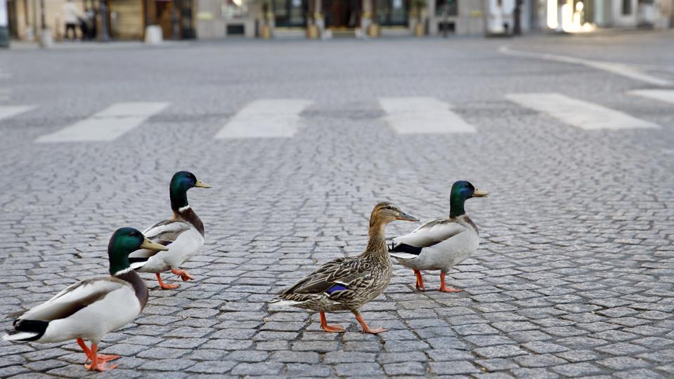 France's Coronavirus Death Rate Slows But Country Remains On Lockdown