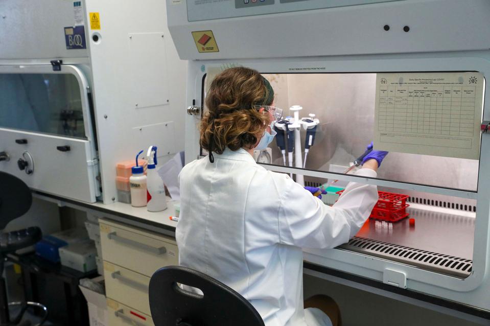 Coronavirus Vaccine Approval Might Be Sought This Year, According To CEO