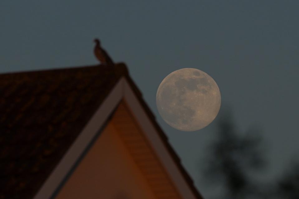 The Year’s Final Supermoon Rises Tonight. Here’s Exactly When To See It