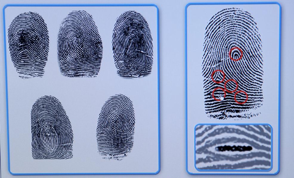 Amazon Is Developing Hand-Scanning Technology...And Other Small Business Tech News