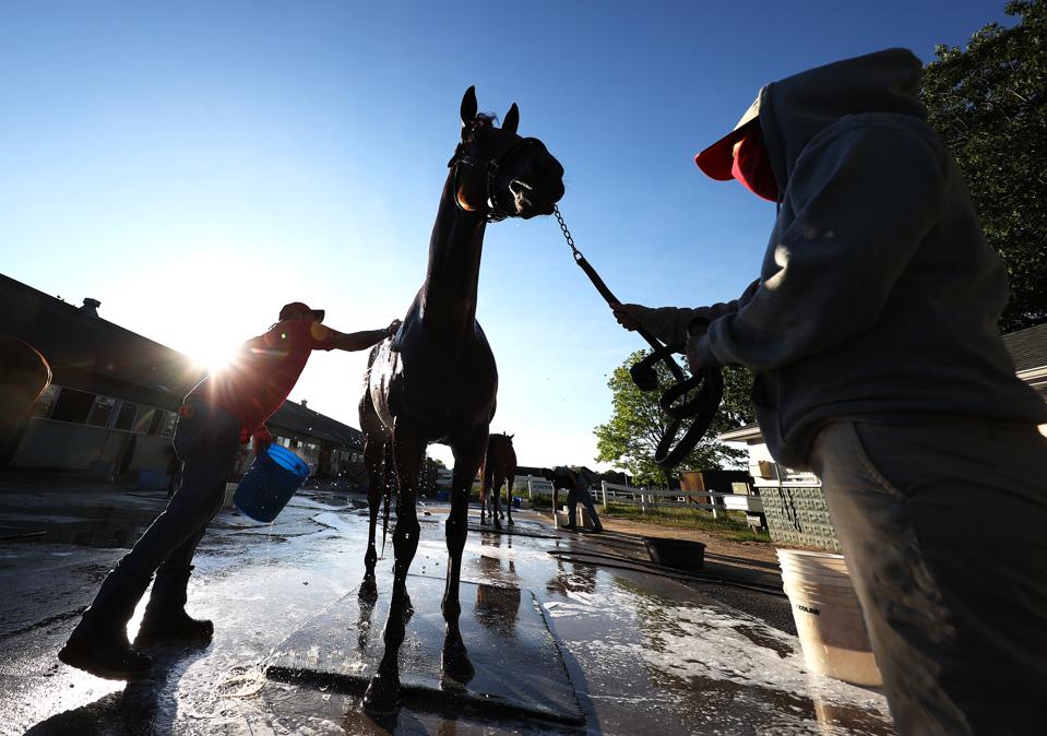 152nd Belmont Stakes - Previews