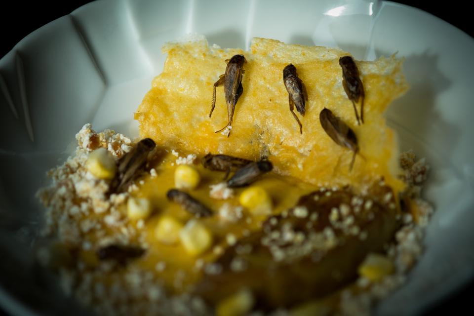 French chef, David Faure, cooks with bugs in his restaurant 'Aphrodite' in Nice. Dishes such as this starter, creamy corn with crickets.