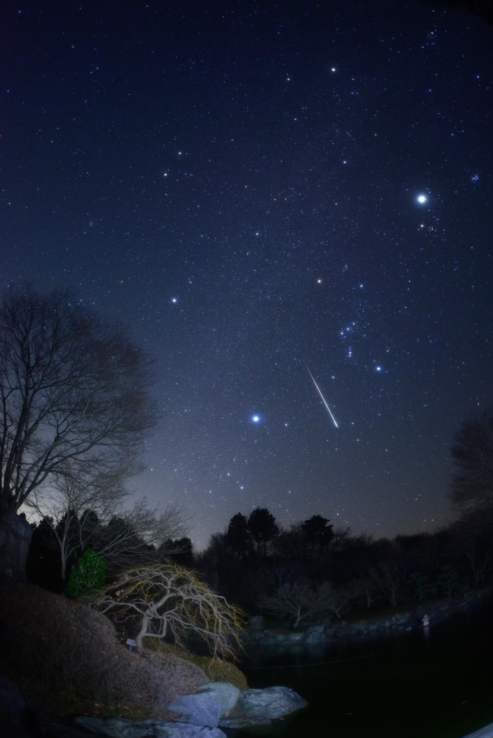 Shooing stars might be observed this week.