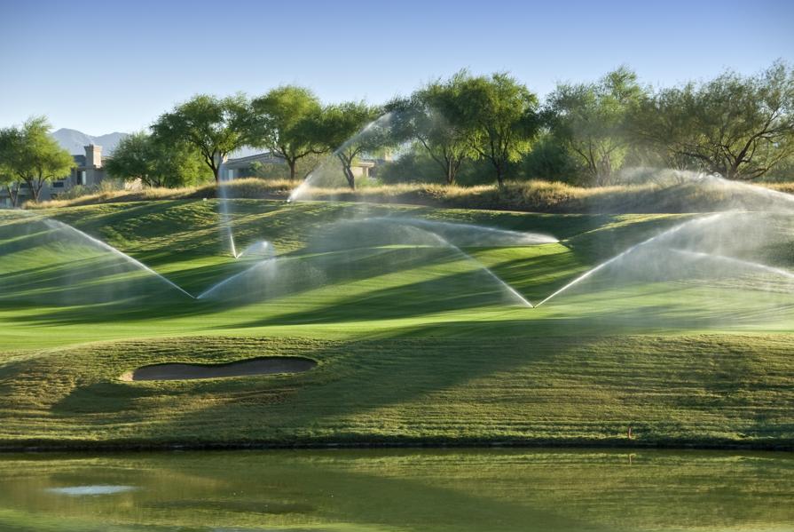 Phoenix Suns Owner's Investment Firm Buys Two More Resorts For $162M