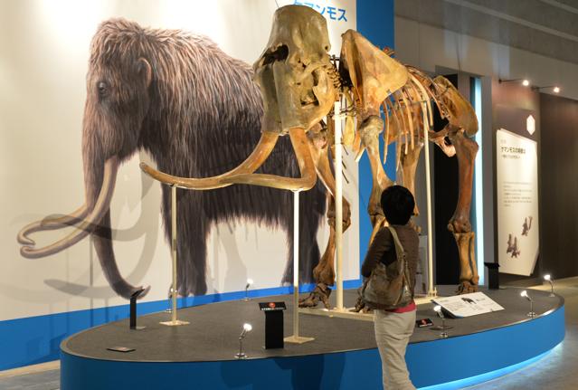 Why We Can't Clone Dinosaurs But Might Clone Mammoths