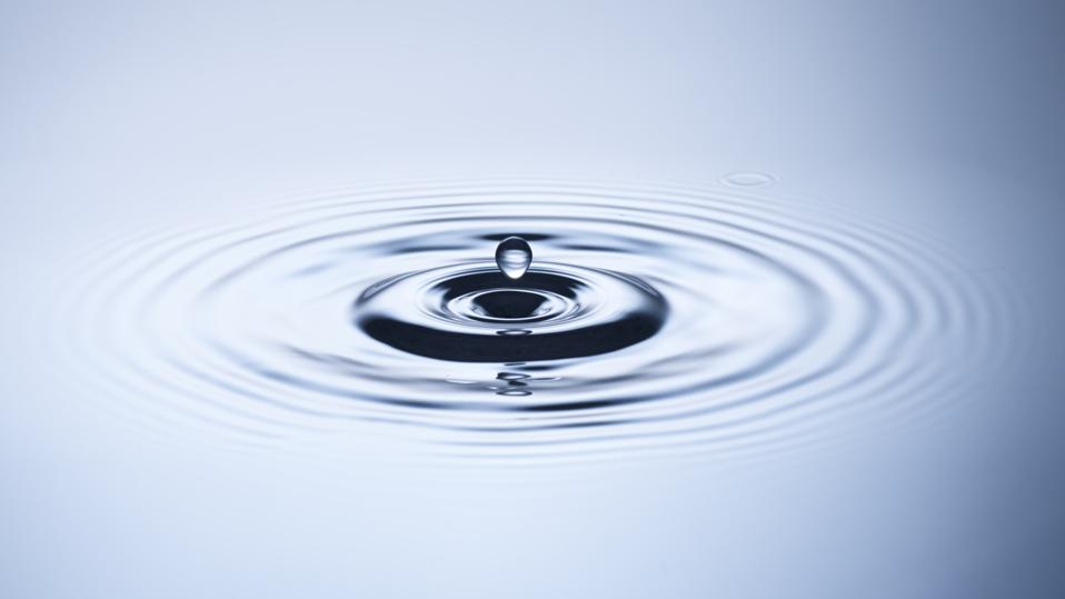 https://specials-images.forbesimg.com/imageserve/173977687/960x0.jpg?cropX1=0&cropX2=5129&cropY1=682&cropY2=3567 https://specials-images.forbesimg.com/imageserve/173977687/960x0.jpg?cropX1=0&cropX2=5129&cropY1=682&cropY2=3567