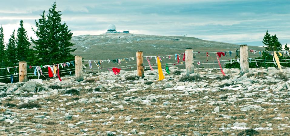 Download We Are Now In The Dog Days Of Summer It Doesn T Mean What You Think For Android Free Get Wallpaper We Are Now In The Dog Days Of Summer It Doesn T Mean What You Think Desktop Wallpaper Free