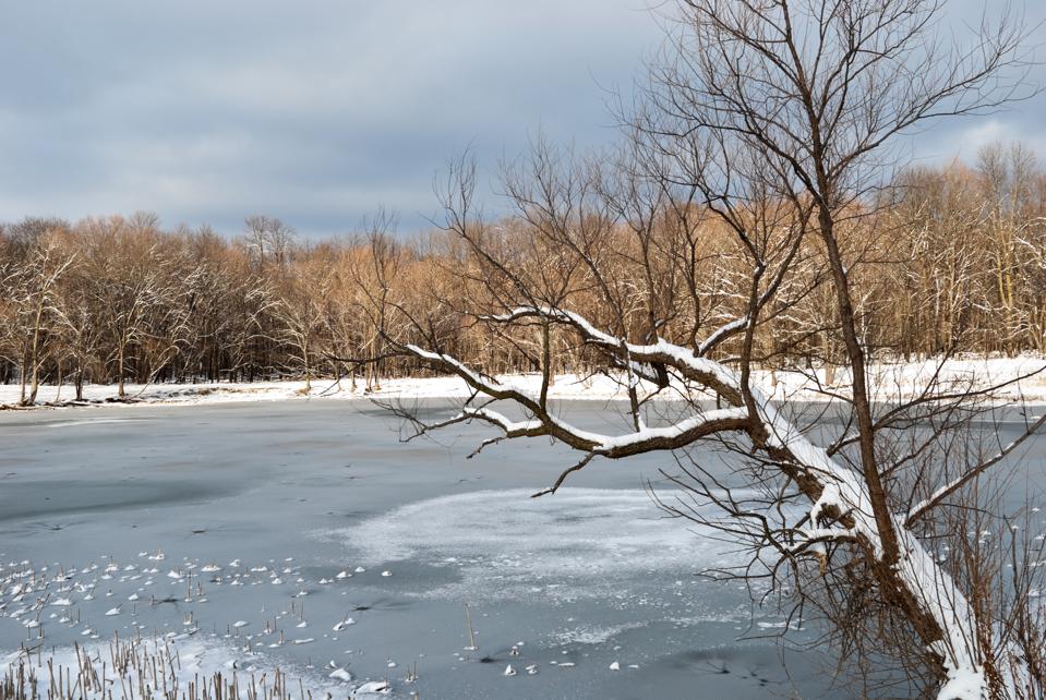 Plus Size Speed Dating Near Lincoln Park Plus Size Speed Dating Near Lincoln Park