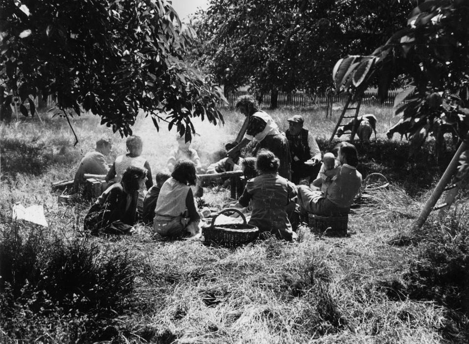 fruit pickers kent