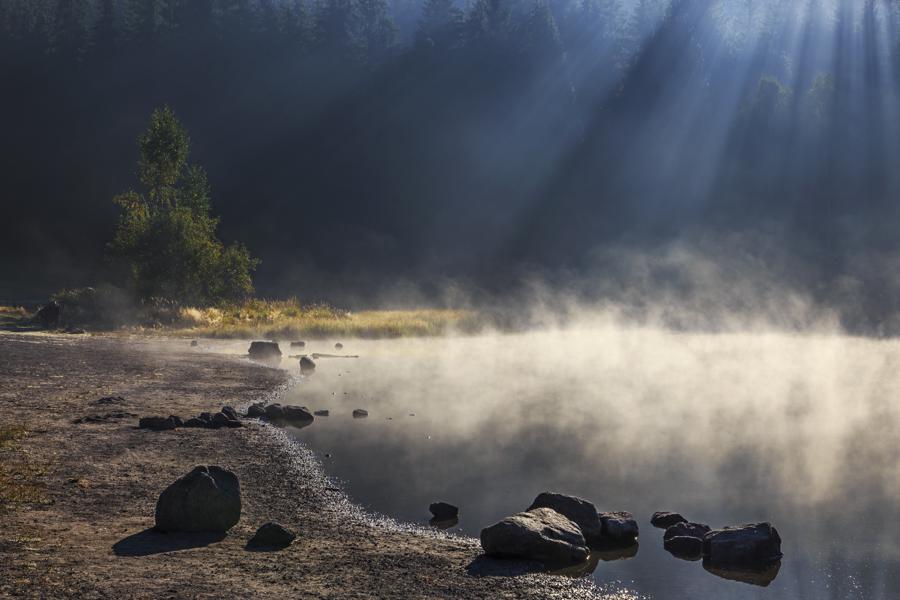 Life On Earth Began With Splashing Meteorites And Warm Little Ponds, Study Suggests