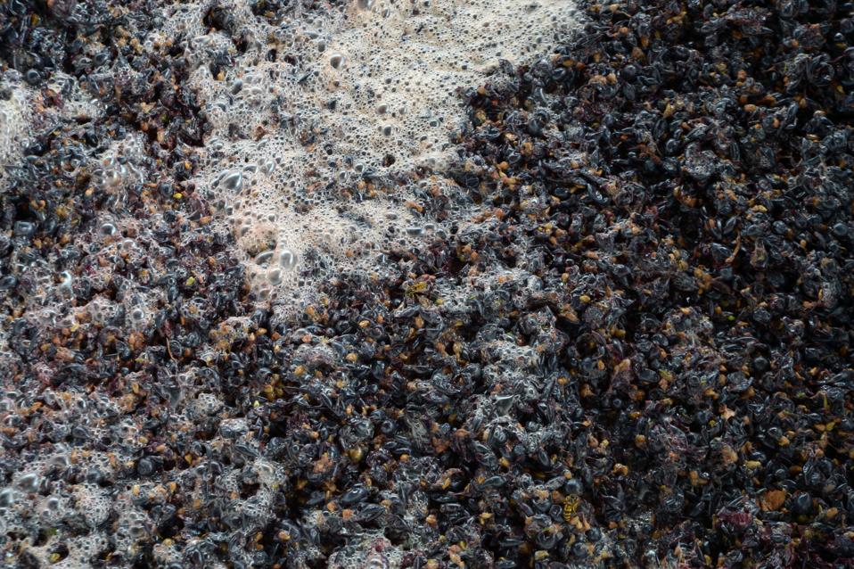 Promiscuity In The Wine Cellar Pays Off
