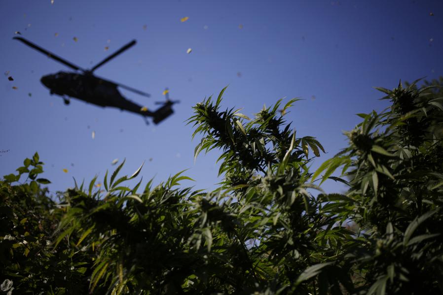 The War On Cannabis Heats Up